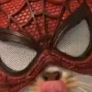 Meet your Posher, Abdul